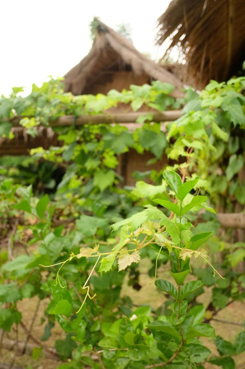 Royal Mountain Hut Hotel Ratchaburi Værelse billede