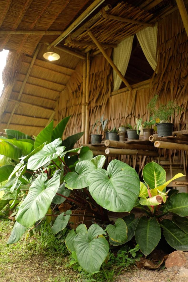 Royal Mountain Hut Hotel Ratchaburi Værelse billede