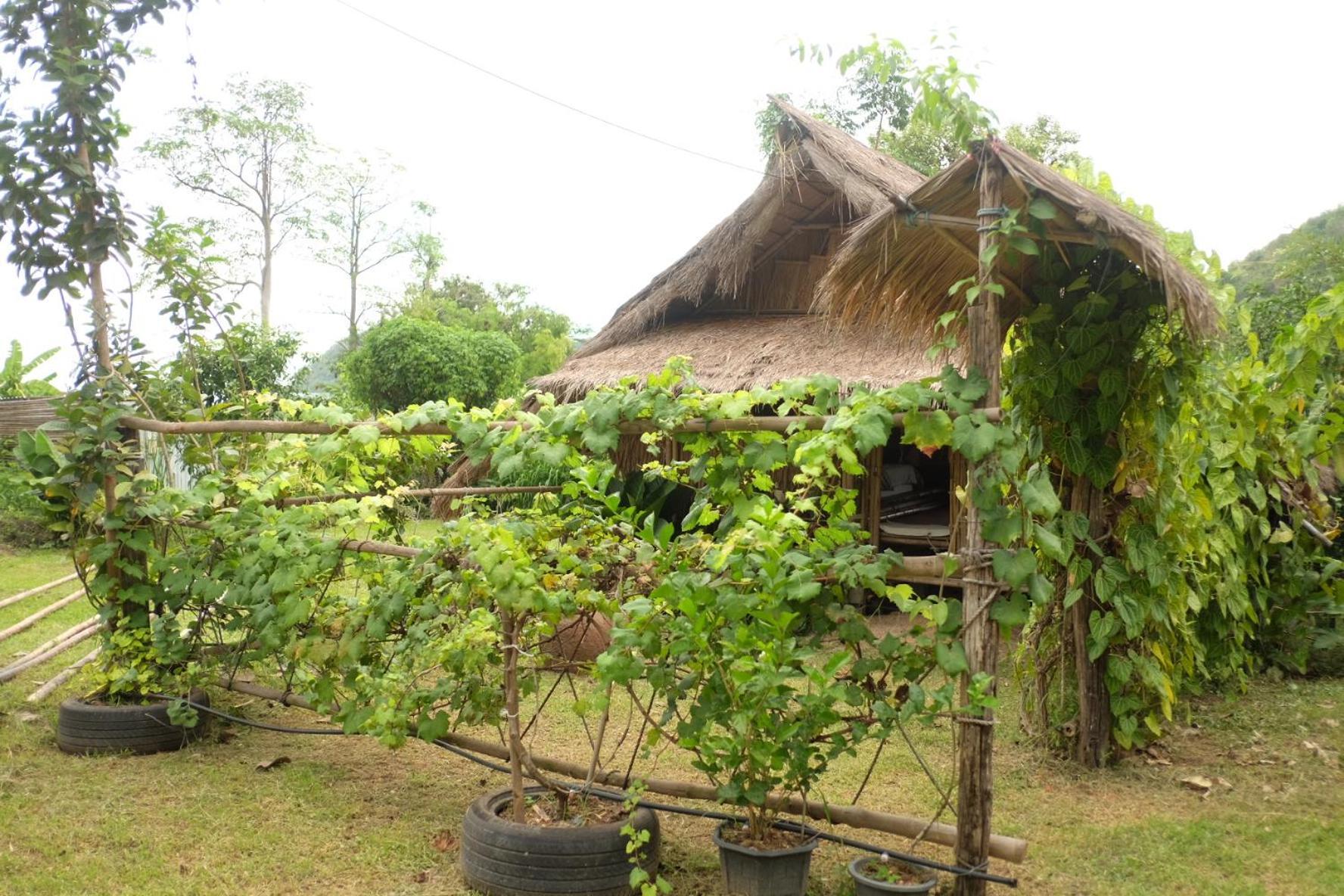 Royal Mountain Hut Hotel Ratchaburi Værelse billede